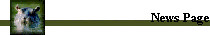 News Page
