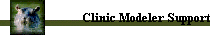 Clinic Modeler Support